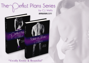 The Perfect Plans Series